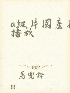 a级片国产在线播放