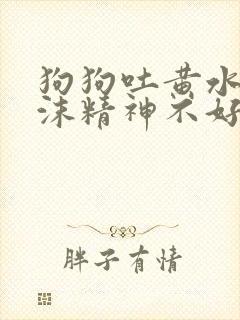 狗狗吐黄水带泡沫精神不好
