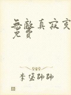 无敌真寂寞小说免费