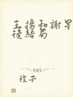 王扬和谢星涵最后结局封面