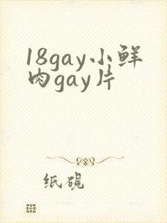 18gay小鲜肉gay片