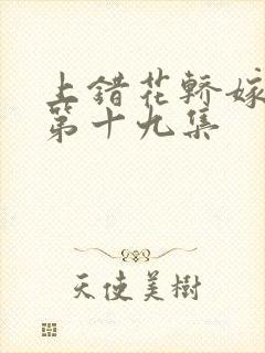 上错花轿嫁对郎第十九集封面