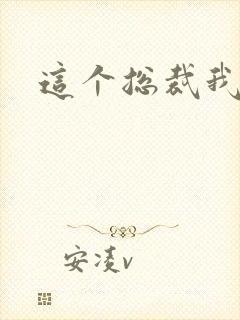 这个总裁我要了