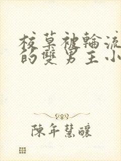 校草被轮流欺负的双男主小说