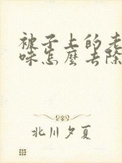 被子上的老鼠尿味怎么去除