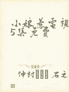 小娘惹电视剧45集免费