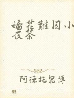 娇花难囚小说霁夜茶