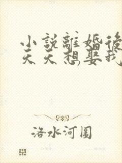 小说离婚后霸总天天想娶我免费阅读封面