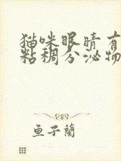 猫咪眼睛有黄色粘稠分泌物