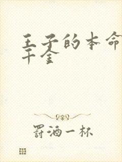 王子的本命恶役千金封面