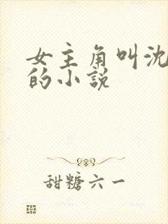 女主角叫沈知夏的小说封面