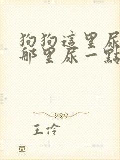 狗狗这里尿一点那里尿一点