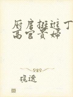 厨房挺进丁字裤高官贵妇