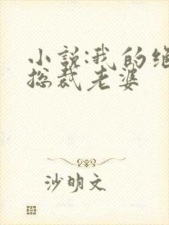 小说:我的绝美总裁老婆