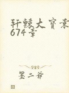 轩辕大宝袁雪妃674章