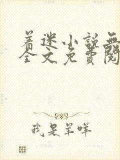 着迷小说无删减全文免费阅读