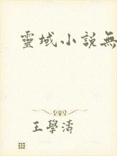 灵域小说无删减封面