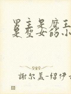 男主是魔王女主是圣女的小说