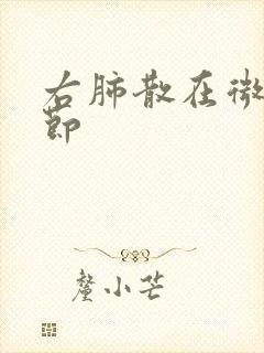 右肺散在微小结节封面