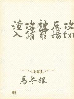 渣攻被反攻后陷入修罗场txt