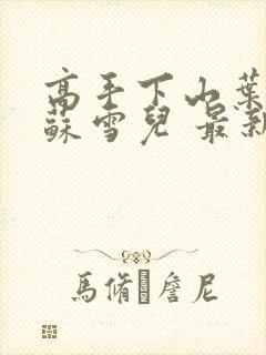 高手下山叶君临苏雪儿 最新章节