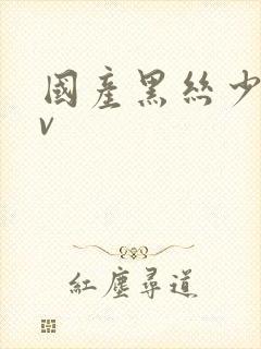 国产黑丝少妇av