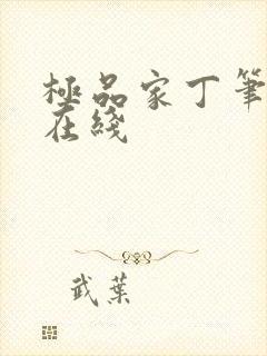 极品家丁笔趣阁在线