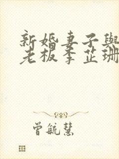 新婚妻子与买菜老板李芷珊小说免费