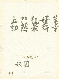 上门龙婿叶辰萧初然最新章节