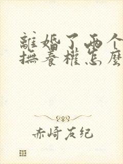 离婚了两个小孩抚养权怎么判