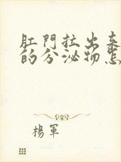 肛门拉出来白色的分泌物怎么回事