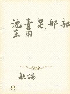 沈青是哪部小说主角