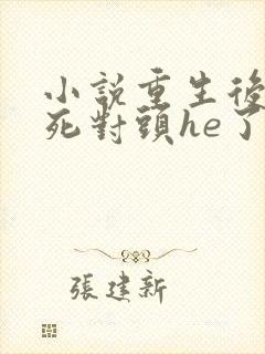 小说重生后我跟死对头he了全文