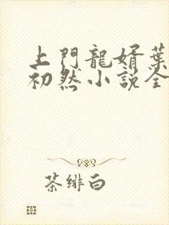 上门龙婿叶辰萧初然小说全集免费