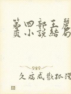 第四部王丽娟张爽小说结局