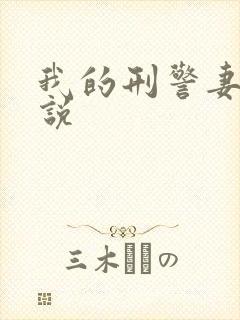 我的刑警妻子小说封面