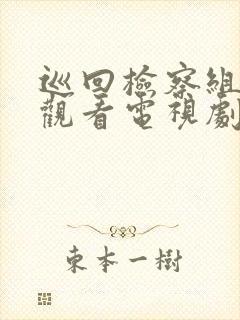 巡回检察组免费观看电视剧全集封面