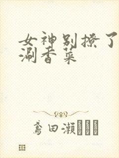 女神别撩了清汤涮香菜封面