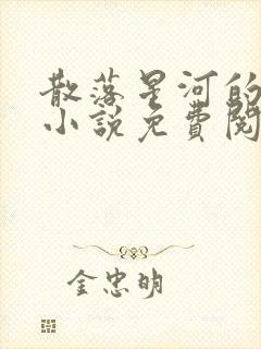 散落星河的记忆小说免费阅读全文封面