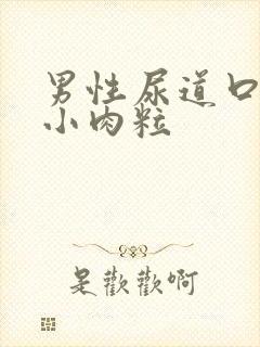 男性尿道口有个小肉粒