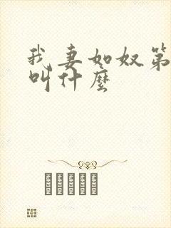 我妻如奴第二部叫什么