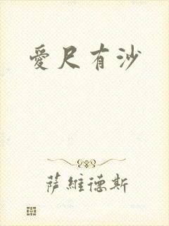 爱尺有沙封面