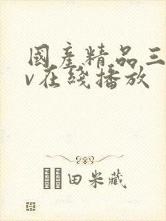 国产精品三级av在线播放