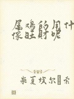 属鸡的用什么图像旺财呢