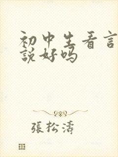 初中生看言情小说好吗封面