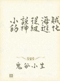 小说从海贼开始的神级进化