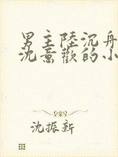 男主陆沉舟女主沈意欢的小说