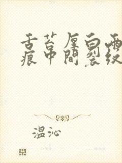 舌苔厚白两边齿痕中间裂纹