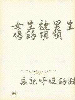 女生被男生操鸡鸡的视频