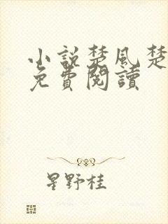 小说楚风楚芸的免费阅读